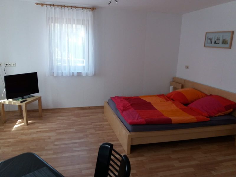 Kompaktes Einzimmerapartment: Wohnen in Neckargemünd